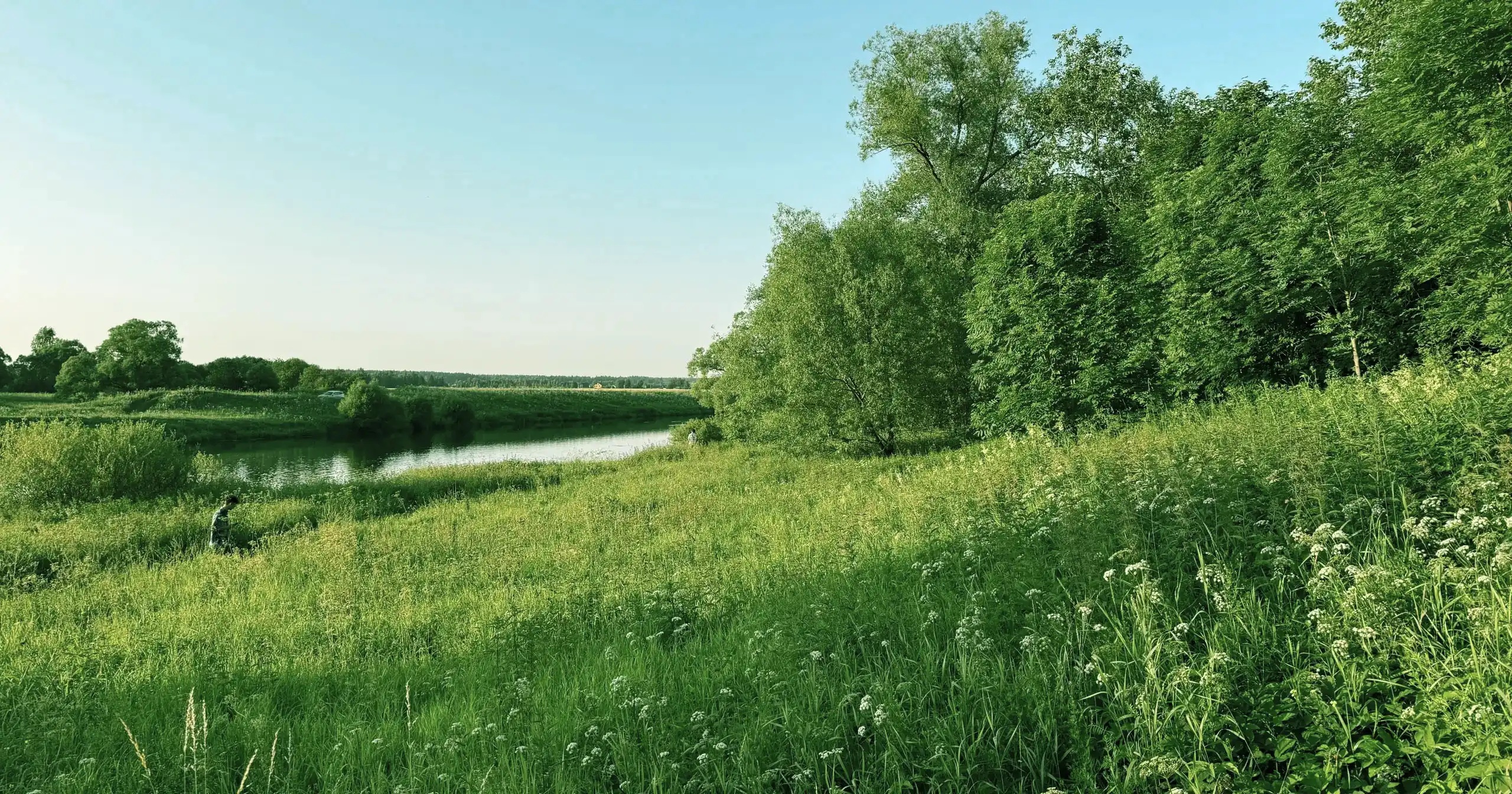 Биологический факультет МГУ Биологический факультет МГУ