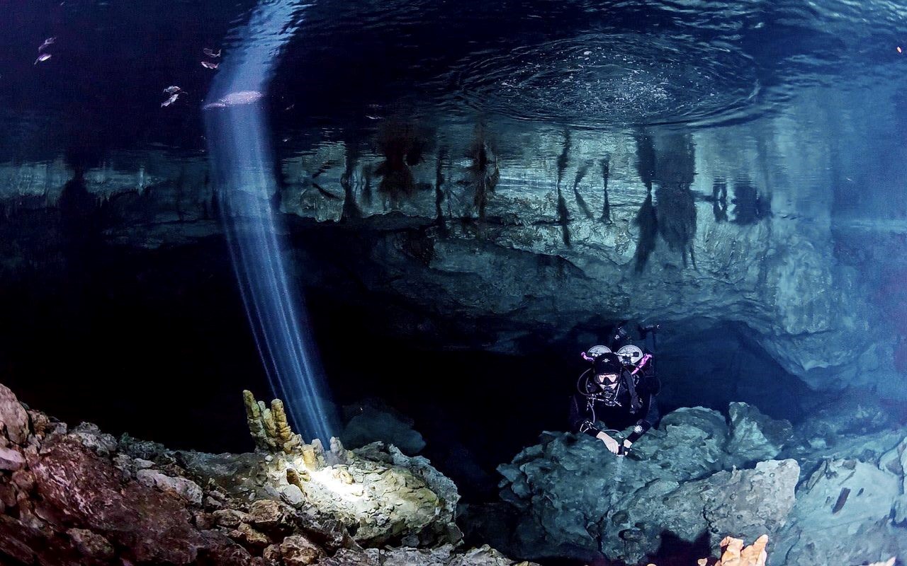 Подводная пещера – среда обитания ракообразных класса Remipedia. Системе Tajma Ha, полуостров Юкатан, Мексика. Источник: Дайв центр Cenote Xplore S.A. de C.V.