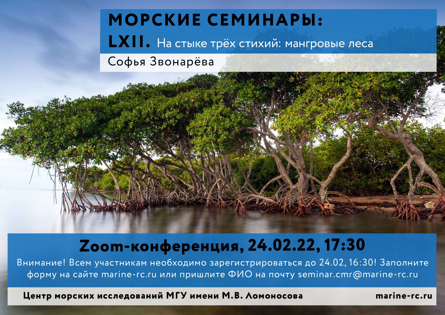 LXII Морской семинар «На стыке трёх стихий: мангровые леса»