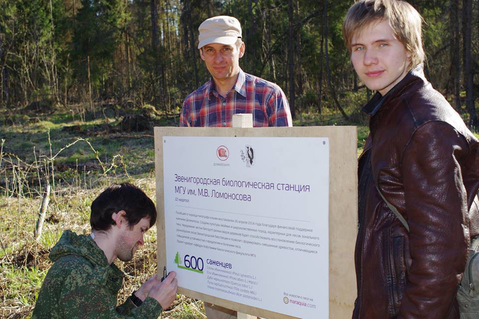 Восстановление леса на Звенигородской биологической станции