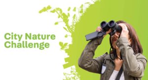 На майские праздники состоится традиционный марафон City Nature Challenge 2022
