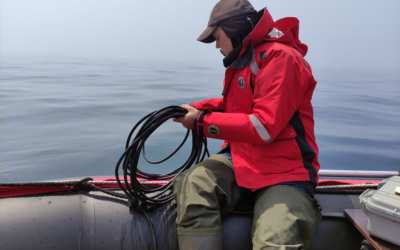 Экспедицию по изучению китообразных завершили у Южных Курил