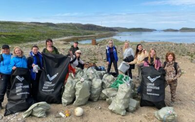 Волонтеры помогут ученым определить оптимальный способ утилизации пластиковых отходов с берегов Арктики