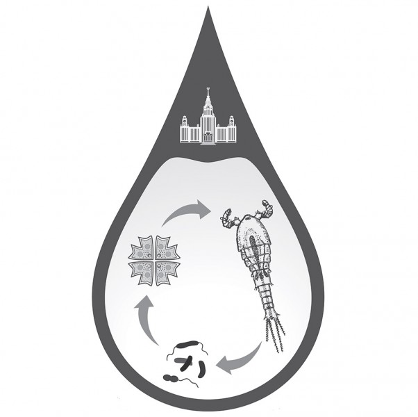 Логотип кафедры общей экологии и гидробиологии