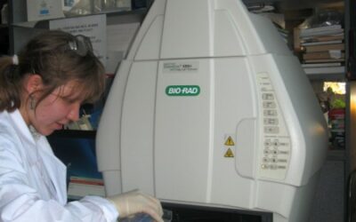 Система хемилюминесцентной детекции ChemDOC XRS+, фирмы BioRad