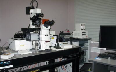 Конфокальная лазерная сканирующая система «НИКОН КОРПОРЕЙШН» (Япония)