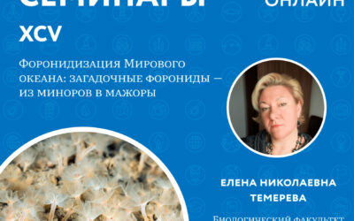 Центр морских исследований МГУ имени М.В. Ломоносова продолжает цикл Морских семинаров!